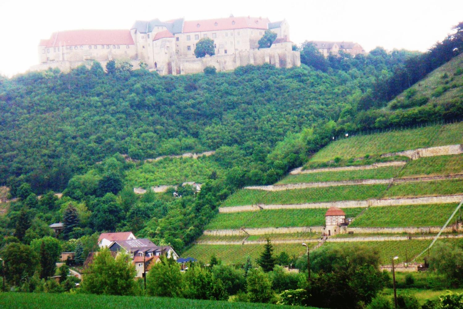 Landhotel Weingut Schulze Фрайбург Екстер'єр фото